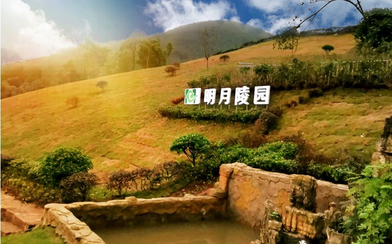 南岸区-明月陵园