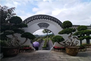 九龙坡区仙友山公墓